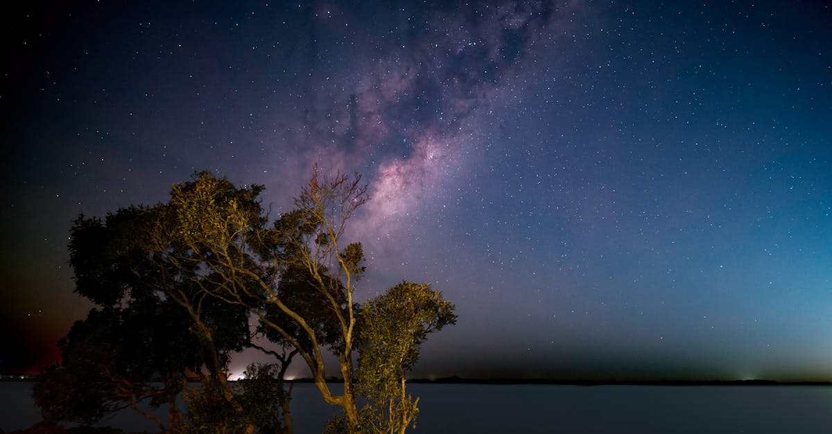 découvrez nos conseils et informations essentiels pour tout savoir sur le sujet.