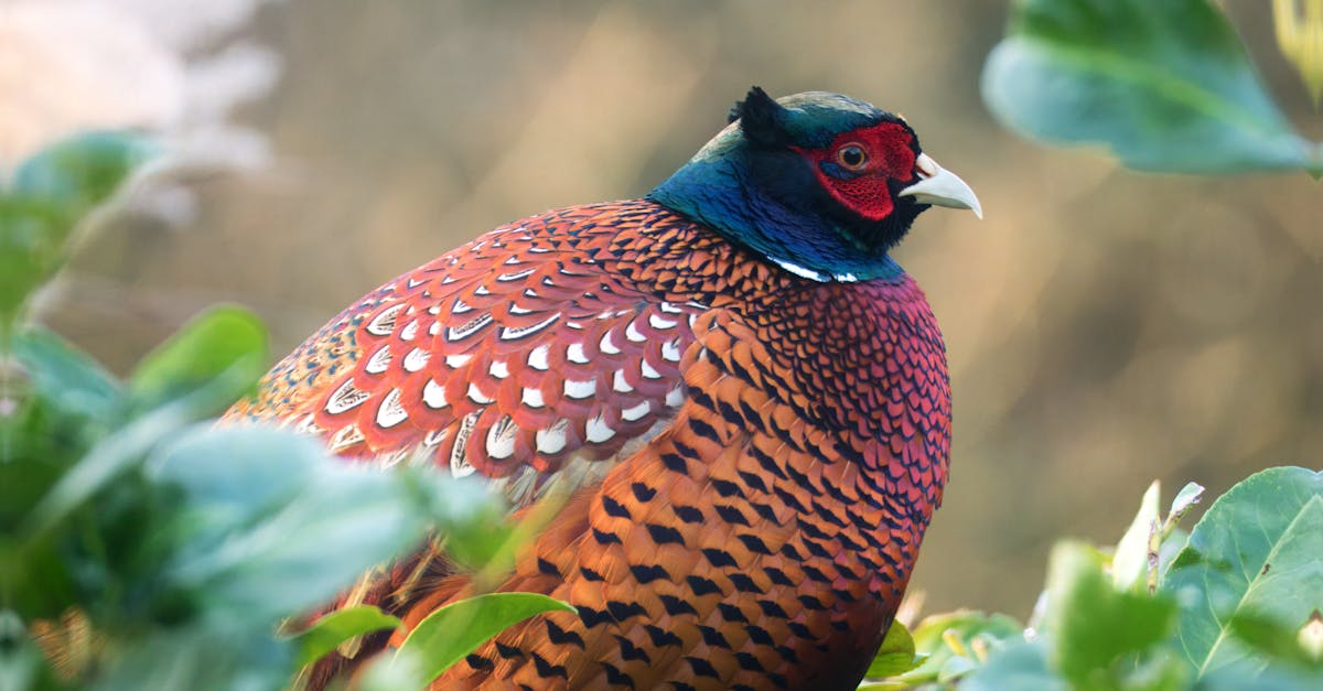 découvrez des ressources variées et des informations utiles sur le sujet 'p'. explorez nos contenus pour mieux comprendre et approfondir vos connaissances.