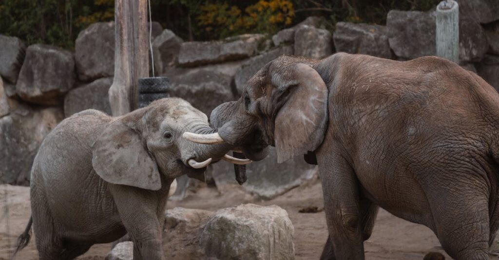 découvrez la comparaison complète entre le pixel 9 et le pixel 8 : performances, caméra, design et nouveautés pour choisir le smartphone qui vous convient.