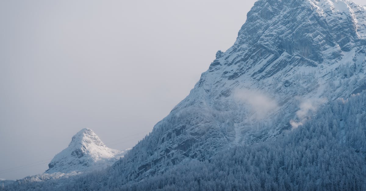 découvrez la comparaison détaillée entre le pixel 9 et le pixel 8 : design, performances, appareil photo et nouveautés pour choisir le smartphone qui vous convient.