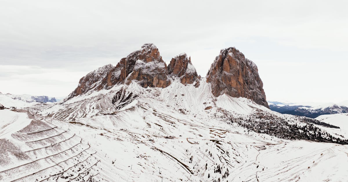 découvrez tout sur la porsche dax exclusion : caractéristiques, performances et exclusivités de ce modèle unique.
