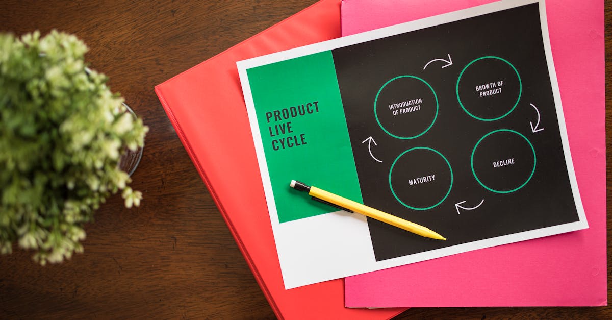 découvrez les raisons du déclin des ventes de tesla et son impact sur le marché automobile électrique.