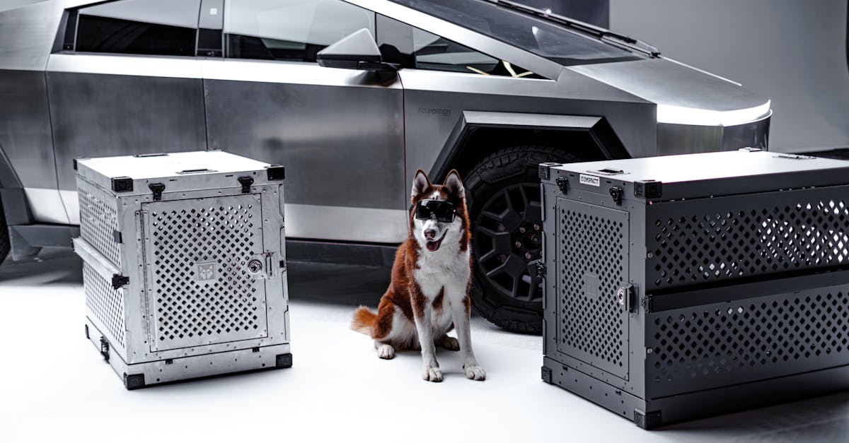 analyse de la baisse des ventes de tesla : causes, impacts et perspectives pour le constructeur automobile électrique.