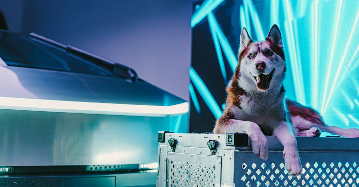 analyse de la baisse des ventes de tesla : causes, impacts et perspectives du marché automobile électrique.