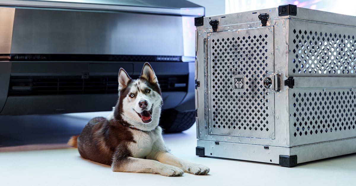 analyse de la baisse des ventes de tesla : causes, impacts et perspectives pour le constructeur automobile électrique.