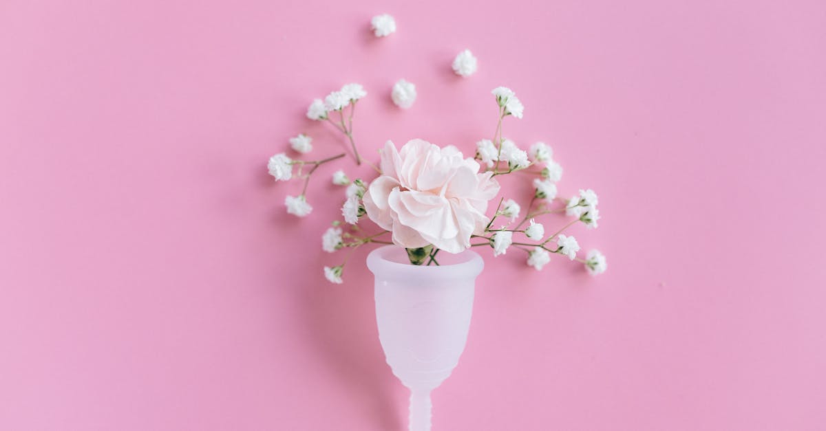 comparez les meilleurs vpn pour garantir votre sécurité et confidentialité en ligne. analyse des performances, tarifs et fonctionnalités pour choisir le vpn adapté à vos besoins.