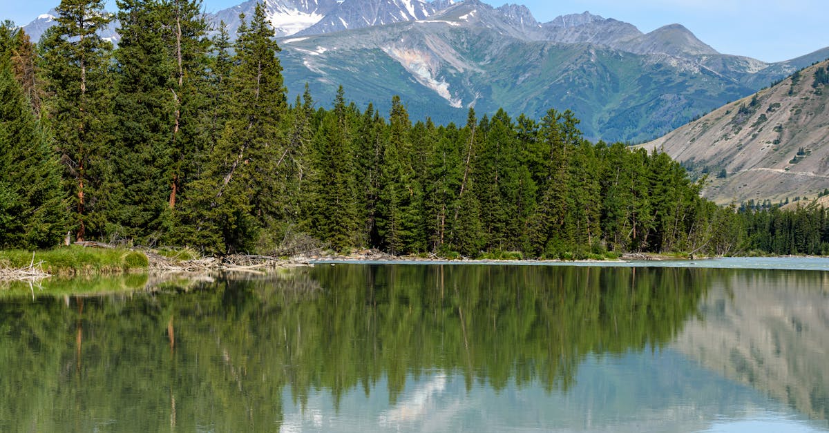 découvrez l'alpine a290, une voiture de sport emblématique alliant design élégant, performance exceptionnelle et technologie moderne pour une expérience de conduite unique.