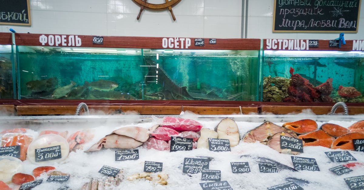 découvrez les tarifs d'expressvpn et choisissez l'abonnement qui convient le mieux à vos besoins en matière de sécurité et de confidentialité en ligne.