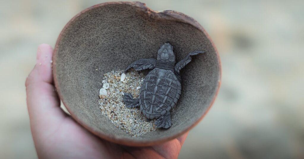 Le MacBook Air 15″ : l’équilibre parfait entre performance et finesse ? découvrez le macbook air 15 pouces : un ordinateur portable fin, léger et puissant, idéal pour la productivité et la créativité en déplacement.