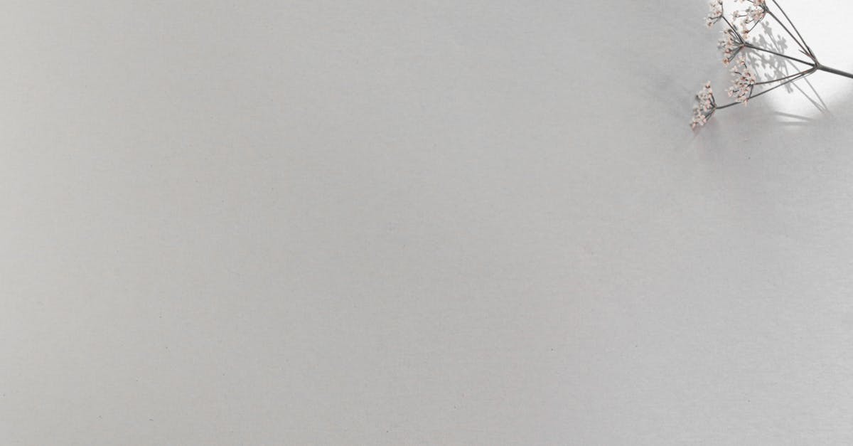 anthropic est une entreprise dédiée à la recherche en intelligence artificielle, visant à développer des technologies sûres et éthiques pour un avenir durable.