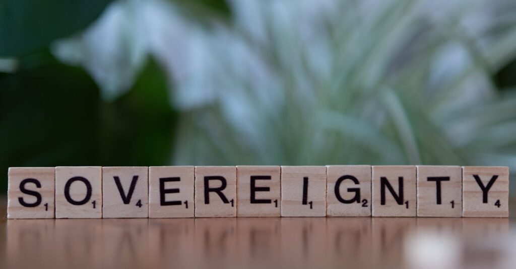 Souveraineté numérique : les bonnes raisons d’adopter des alternatives à Microsoft 365 découvrez l'importance de la souveraineté numérique pour protéger les données, garantir l'indépendance technologique et renforcer la sécurité dans un monde connecté.