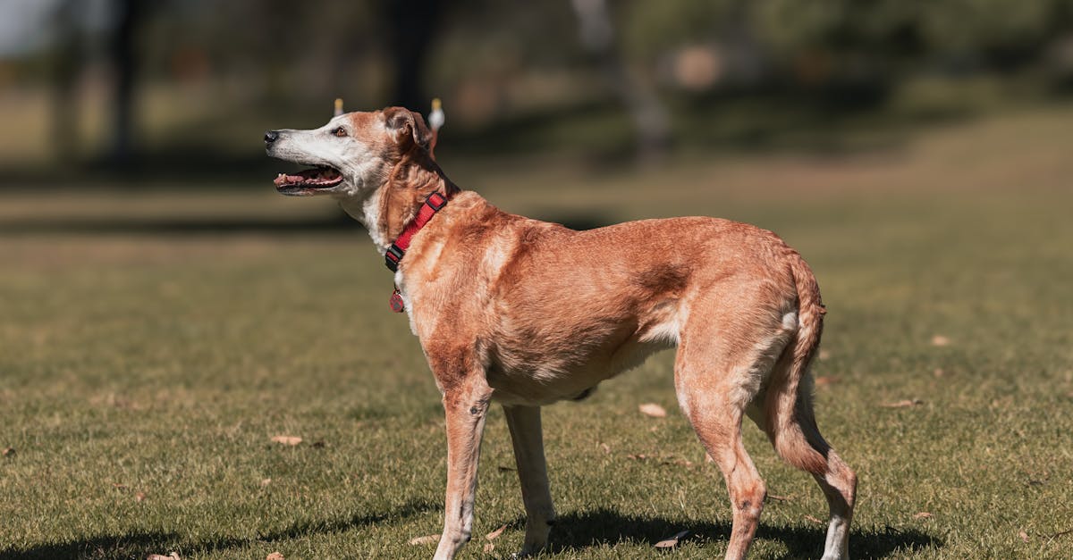 découvrez les tendances digitales incontournables de 2026 pour anticiper les innovations technologiques et transformer votre stratégie numérique.