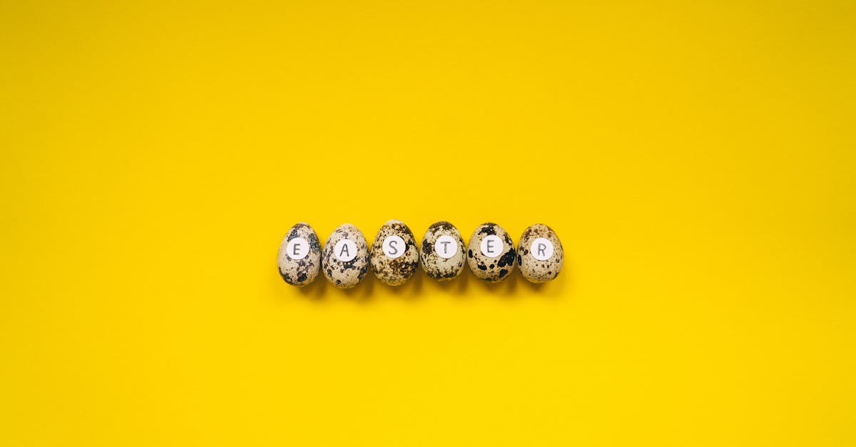 découvrez les solutions efficaces de dispatch pour optimiser la gestion et la répartition des ressources en temps réel.