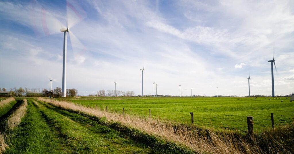 générateur d'images innovant pour créer des visuels uniques et personnalisés en quelques clics.