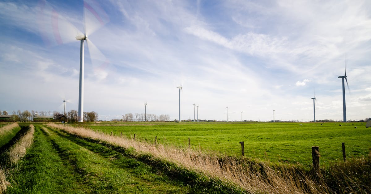 découvrez les générateurs d'images, des outils innovants pour créer des visuels uniques et attractifs en quelques clics.